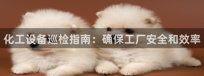 新航娱乐扣款后还能重新扣费吗：化工设备巡检指南：确