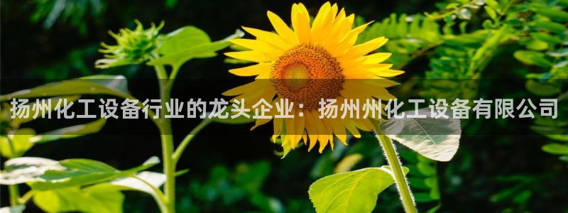 新航娱乐公司扣费流程详解