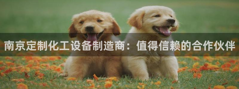新航娱乐集团最新消息新闻：南京定制化工设备制造商：值得信赖的