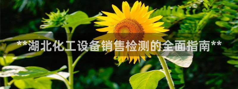 新航娱乐总代理是谁