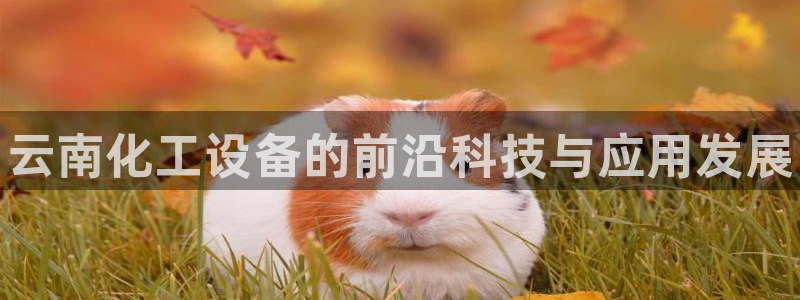 新航娱乐app最新版本更新内容在哪看：云南化工设备