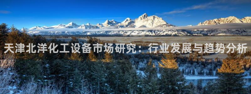 新航娱乐app手机版官网下载安装：天津北洋化工设备