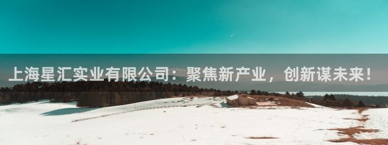 新航娱乐app最新版本更新内容是什么：上海星汇实业